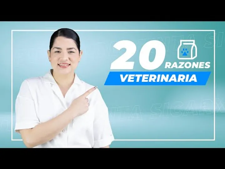 20 razones para tu veterinaria